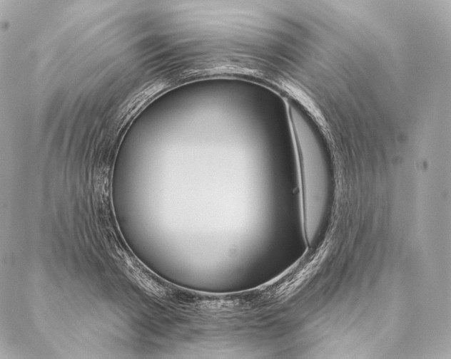 X0000087380793200705111734