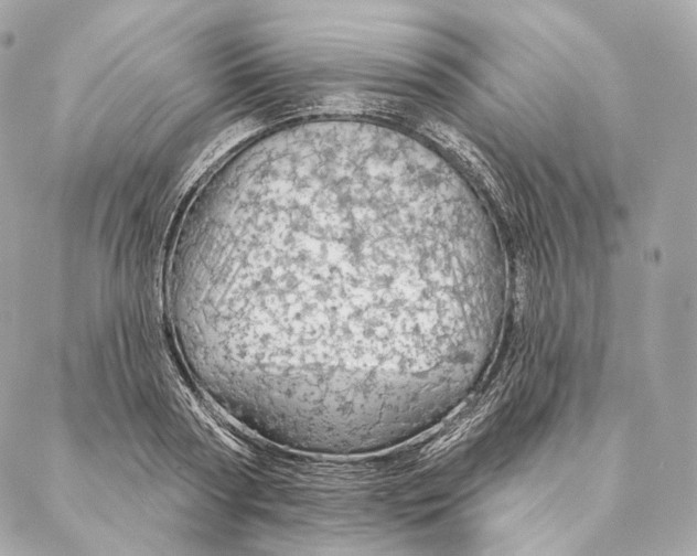 X0000087380794200705111734