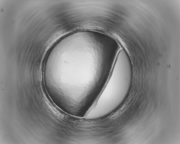 X0000087380795200705111734