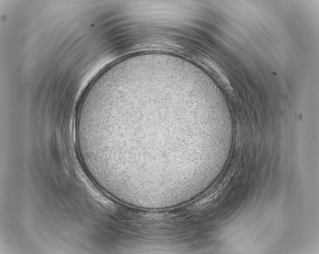 X0000087380796200705111734