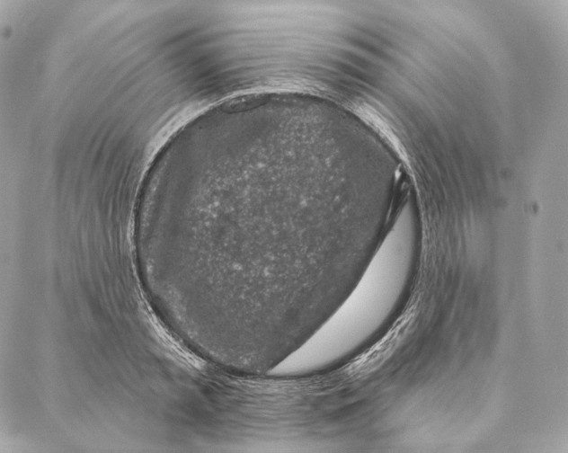 X0000087380797200705111734