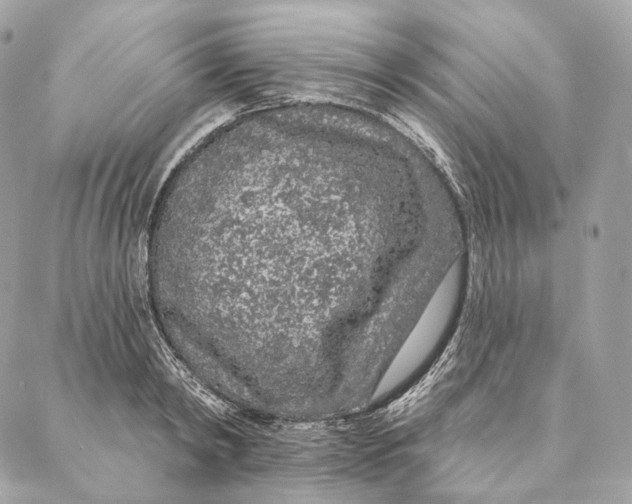 X0000087380798200705111734