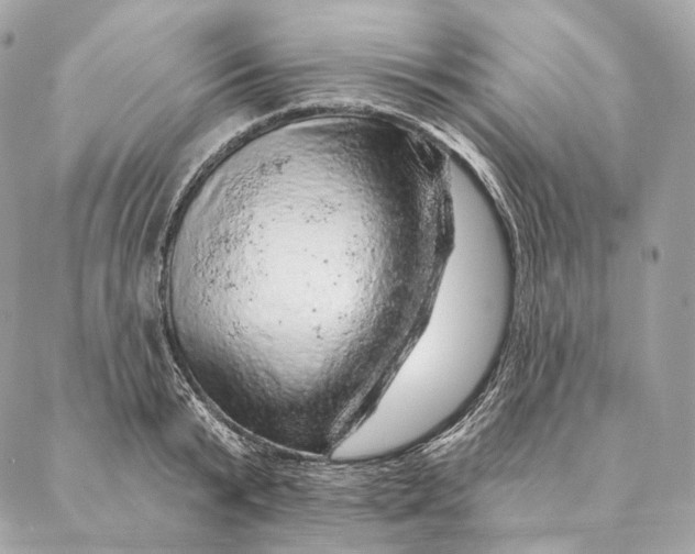 X0000087380799200705111734