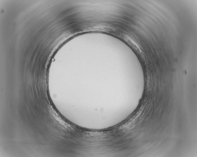 X0000087380800200705111734