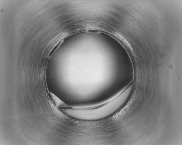 X0000087380801200705111734