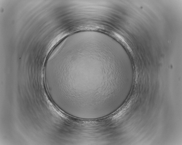 X0000087380802200705111734