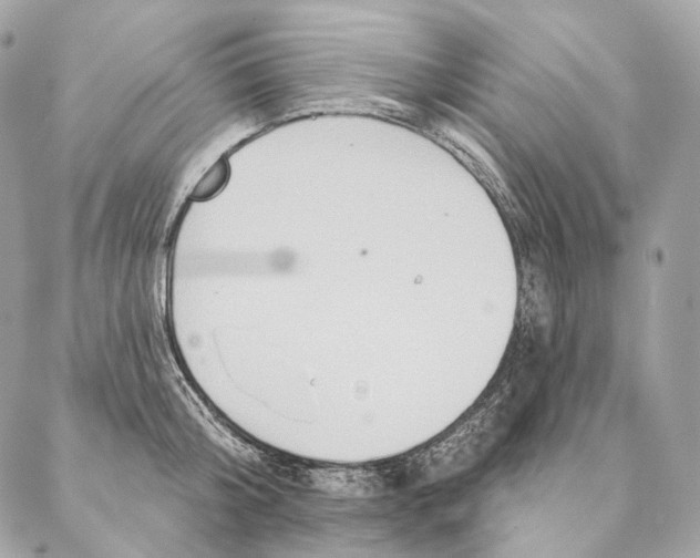 X0000087380804200705111734