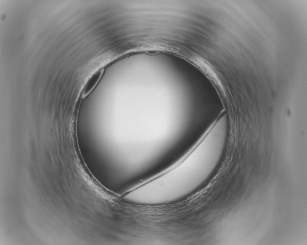 X0000087380805200705111734