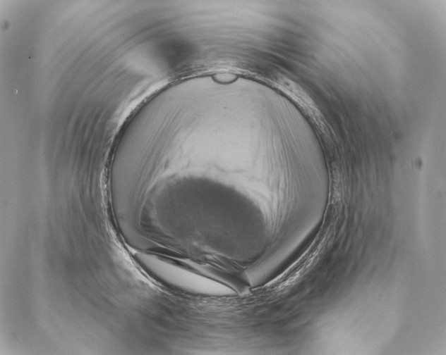 X0000087380806200705111734