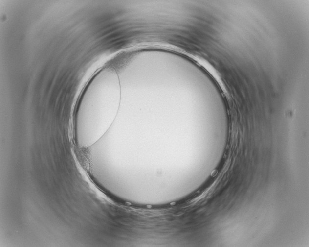 X0000087380807200705111734