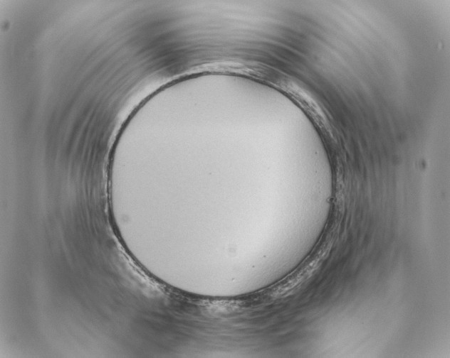 X0000087380808200705111734