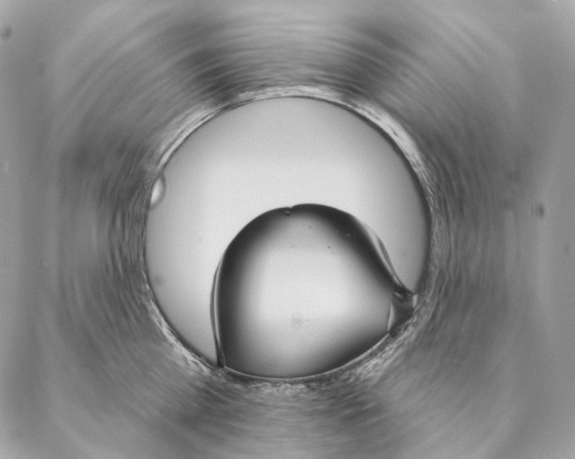 X0000087380809200705111734