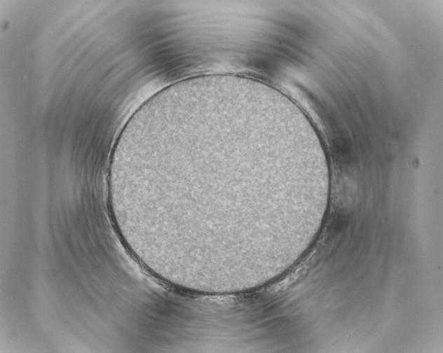 X0000087380810200705111734