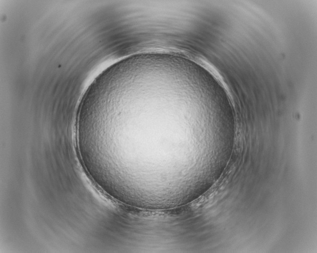 X0000087380811200705111734