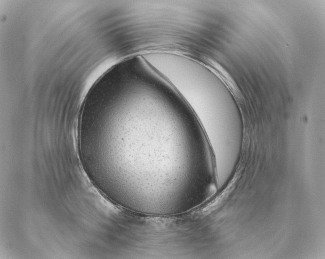 X0000087380812200705111734