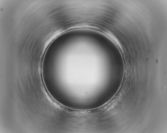 X0000087380813200705111734