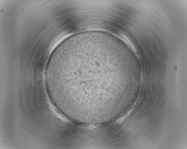 X0000087380814200705111734