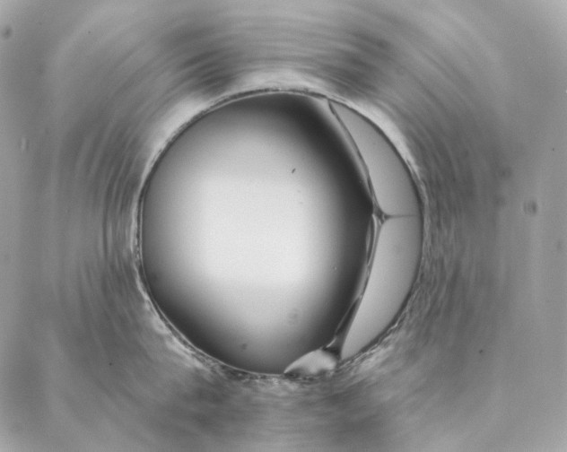 X0000087380815200705111734