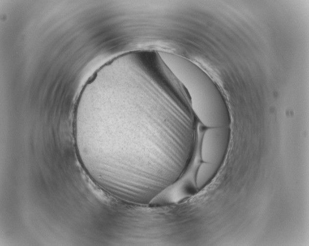 X0000087380816200705111734