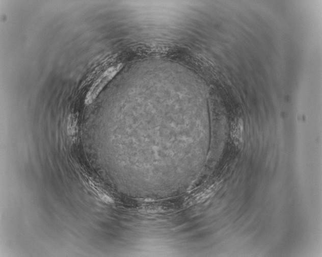 X0000087380818200705111733