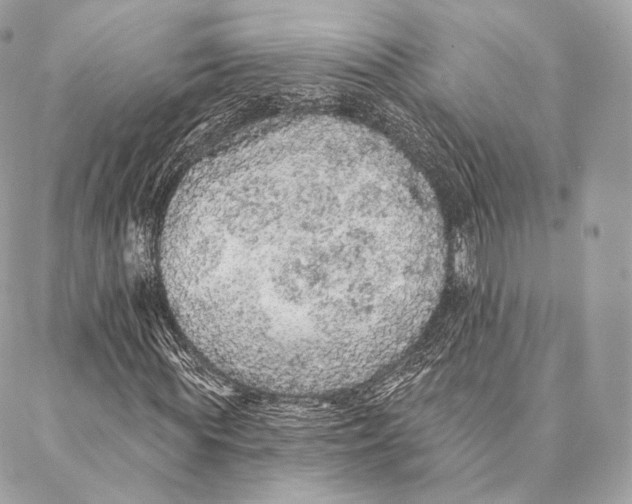 X0000087380819200705111733