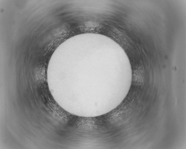 X0000087380820200705111733