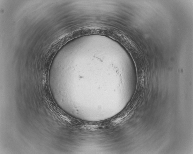 X0000087380821200705111733