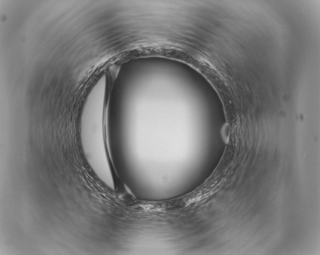 X0000087380822200705111733