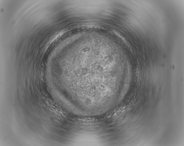 X0000087380823200705111733