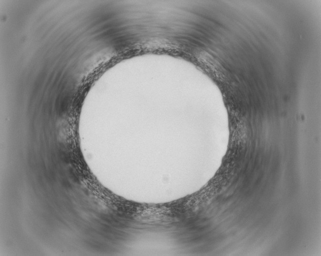 X0000087380824200705111733