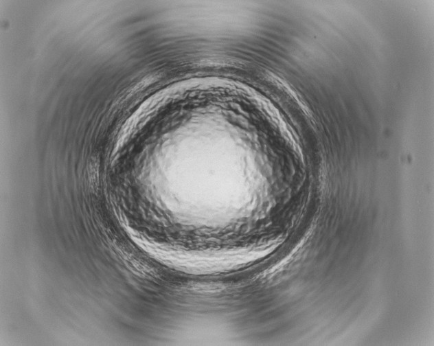 X0000087380825200705111733