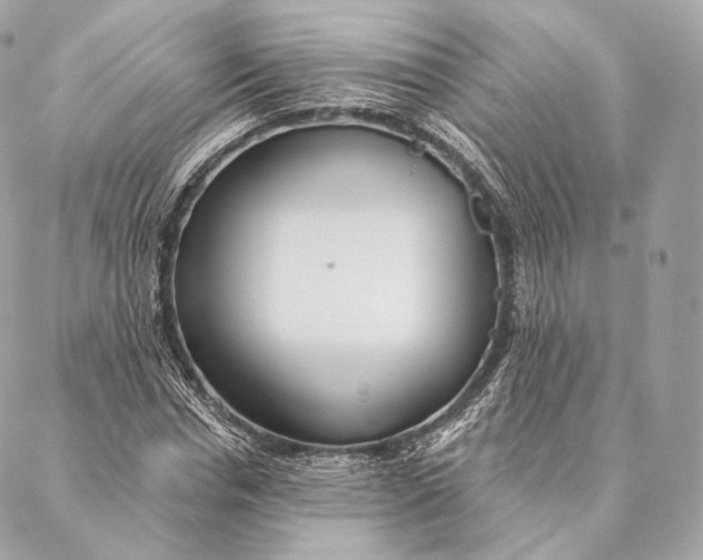 X0000087380826200705111733