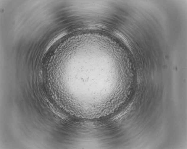 X0000087380827200705111733