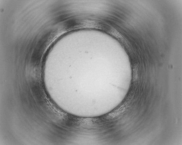 X0000087380828200705111733