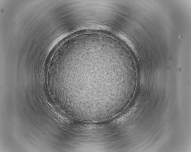 X0000087380829200705111733