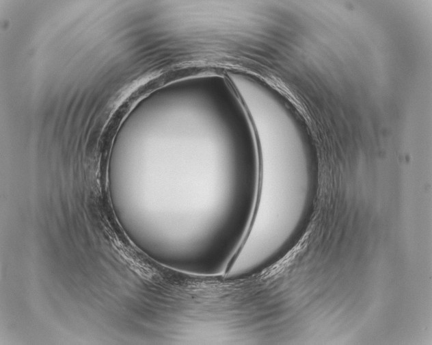 X0000087380830200705111733