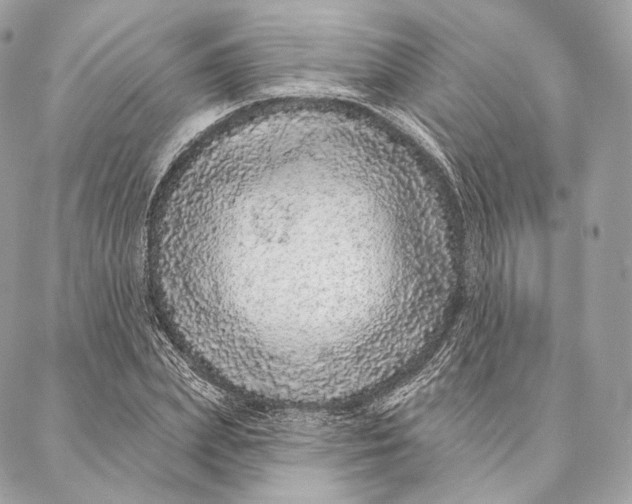 X0000087380831200705111733