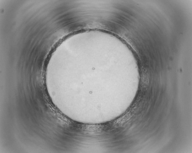 X0000087380832200705111733