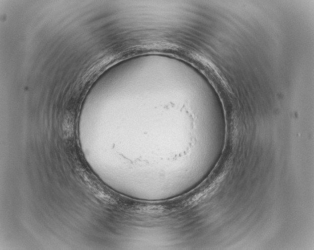 X0000087380833200705111733