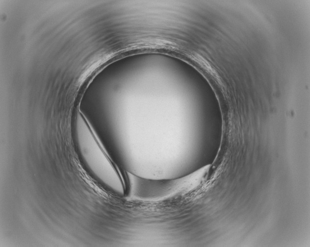 X0000087380834200705111733