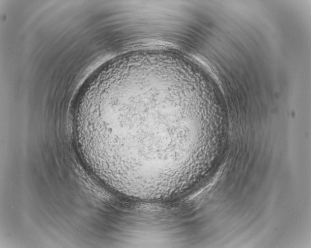 X0000087380835200705111733