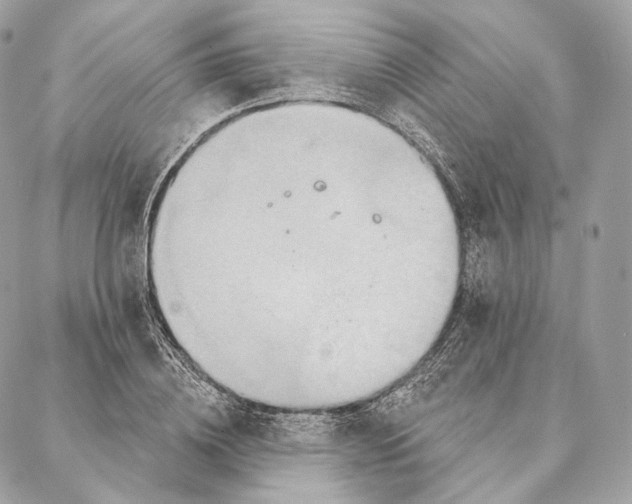 X0000087380836200705111733