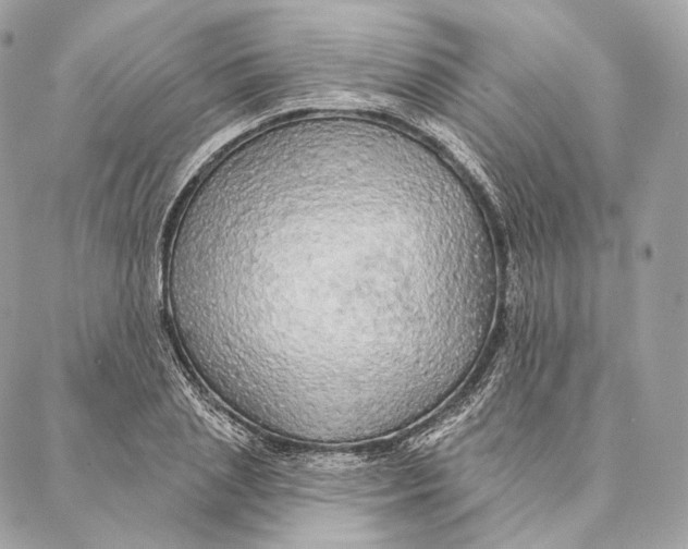 X0000087380837200705111733