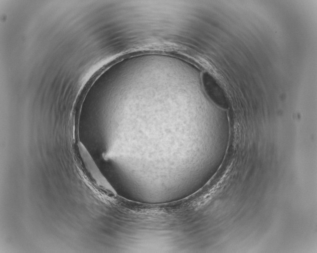 X0000087380838200705111733