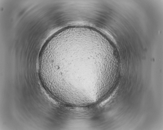 X0000087380839200705111733