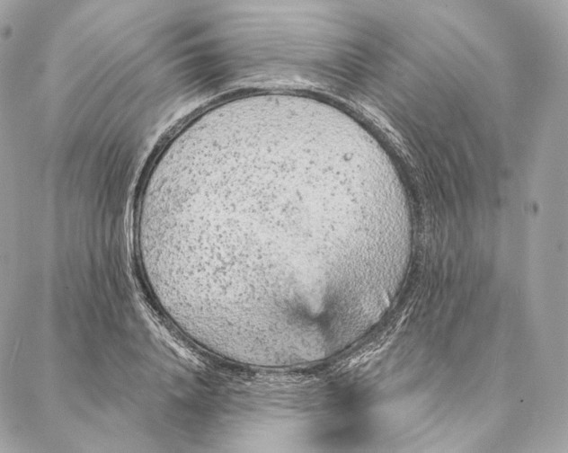 X0000087380840200705111733