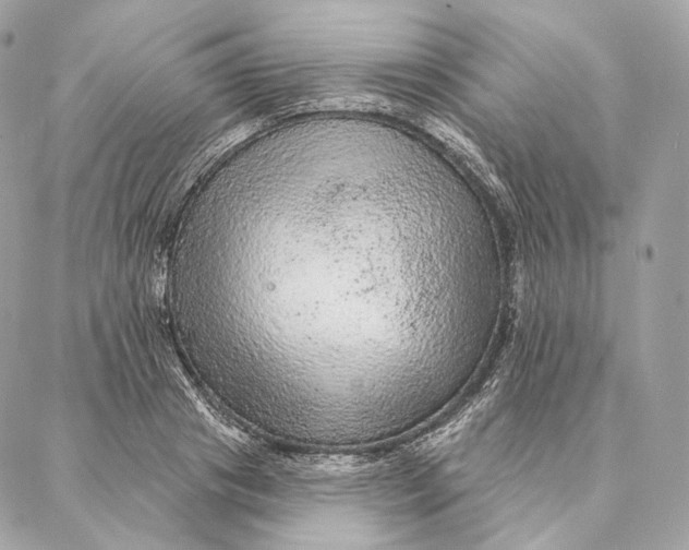 X0000087380841200705111733