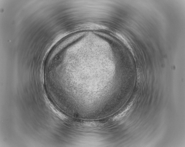 X0000087380843200705111733