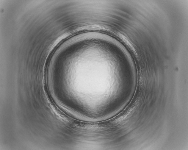 X0000087380845200705111733