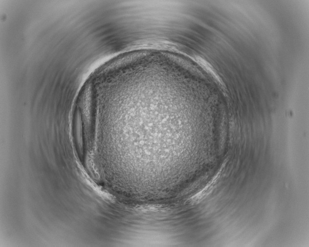 X0000087380846200705111733